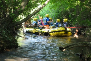 In Mezzo alla Vegetazione
